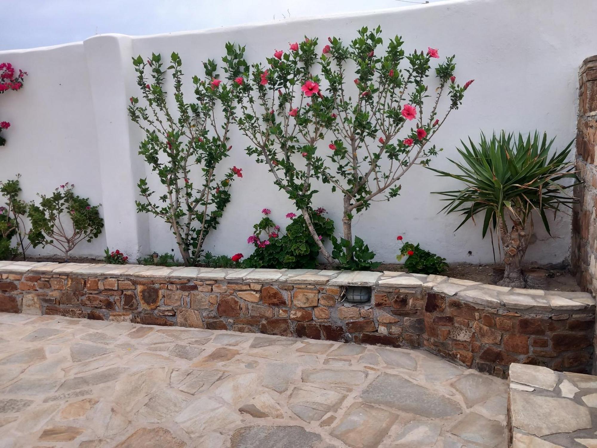 Vaso Studios & Apartment In Naxos Town Naxos City Екстериор снимка